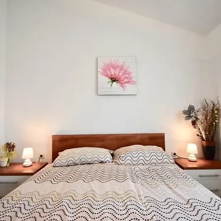 Comfortable Near The Hidrobaza *