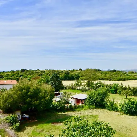 Comfortable Near The Hidrobaza *